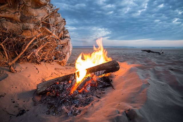 campfire with friends